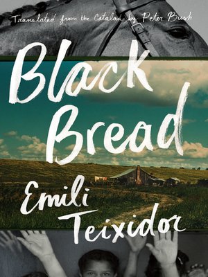 cover image of Black Bread